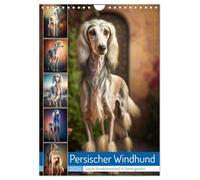 Persischer Windhund (Wandkalender 2026 DIN A4 hoch), CALVENDO Monatskalender: Der Persische Windhund auch bekannt als Saluki ist eine majestätische ... jahrhunderten im Nahen Osten gezüchtet wird.