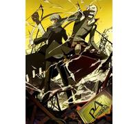 PERSONA4 THE ANIMATION VOLUME