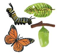 Personaggi del ciclo di vita degli insetti, personaggi del ciclo di vita degli animali, set di giocattoli educativi con farfalla, falena, rana, tartaruga e formiche | Giocattoli per l'apprendimento