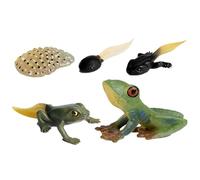 Personaggi del ciclo di vita degli insetti, personaggi del ciclo di vita degli animali, set di giocattoli educativi con farfalla, falena, rana, tartaruga e formiche | Giocattoli per l'apprendimento
