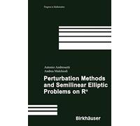 Perturbation Methods And Semilinear Elliptic Problems on Rn: 240
