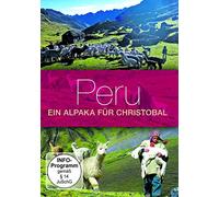Peru, ein Alpaka für Christobal