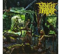 Perverse Dependence - Patterns Of Depravity