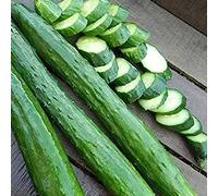 PERZOE 50 Pezzi di Semi di Cetriolo Lungo decapaggio, pianta da Giardino nutriente per Frutta e Verdura Semi di Cetriolo