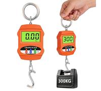 Pesa Valigia Da Viaggio, Scale In Alluminio, Dinamometro, Pesa Valigia，Bilancia Per Valigie, 300kg Bilancia Pesa Valigie Da Viaggio Per La Pesatura Del Molo, Industriale, Pesca