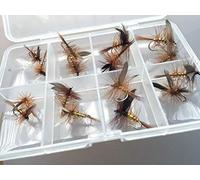 Pesca alla trota DRY FLY WICKHAMS FANCY Set di 16 mosche clip gratuito chiuso Fly Box UK PACK # 319