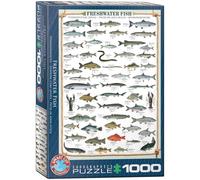 Eurographics - Puzzle Pesce d'acqua dolce - 1000 Pezzi