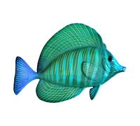 Pesce decorativo in ceramica 50 cm Verde Blu Decorazione da parete artigianale