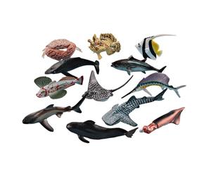 Pesce giocattolo,Modello Cognitivo - Pesce di Mare | per Bagno Scuola Apprendimento Casa Esterna Famiglia di Gioco Aula Educazione Esplorazione