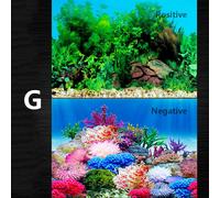 Pesce Serbatoio Sfondo HD Decorazione Acquario 3D Paesaggio Adesivo Double Sided