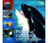 Pesci e cetacei. Ediz. illustrata