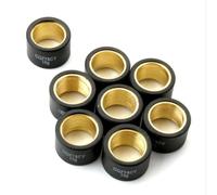 Pesi a rulli da corsa variatore 8pc 15g 17g 25x15mm compatibile con Yp400 Majesty Abs 400cc Xp T Max 500cc 530cc 5RU176325000(25X15MM 15G)