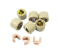 Pesi a rulli del variatore 16x13mm 18x14mm 6 pezzi con cursori compatibili con scooter GY650 GY6125 GY6150 50cc 125cc 150cc(8.5g (16x13mm))