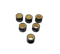 Pesi a rulli del variatore 21x17mm 10,3g 11,2g 13,8g for VX VXR 200 250cc 300cc(21x17mm 13.8g)