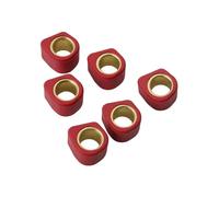 Pesi a rulli for variatore da corsa 16x13 mm 4 g 5,5 g 6 g 7 g Adatto for scooter e motociclette da 50 cc(16x13mm 7g)