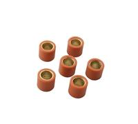Pesi a rulli for variatore da corsa, 6 pezzi, 19x17 mm, 9 g, 13 g, for parti del motore ET4 LX S 150 cc(19x17mm 13g)