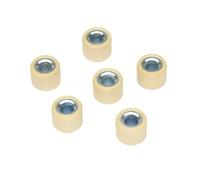 Pesi a rulli variatore 16x13 mm 6 pezzi compatibili con GY650 139QMB DIO50 50cc parti di trasmissione for scooter e moto(5g (white))