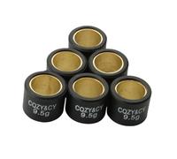 Pesi a rulli variatore 20x17mm 9,5 g 20x compatibili con i modelli di scooter Daelim Otello SG125 F1 S2 S3 NS125