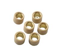 Pesi a rulli variatore 6 pezzi 12,5 g 20x17 mm for B C1 200 1999-2003