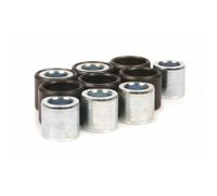 Pesi Variomatici Malossi HTRoll Ø 16x13mm, 7g, 6 Pezzi
