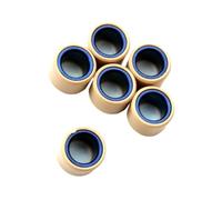 Peso del rullo del variatore da 6 pc 7g 11g 12g 13g 16g 20x15mm compatibile con K2-K6 K7-L1 UC Epicuro X K1 125 UX Sixteen K8 150cc Modelli scooter(20x15mm 12g)