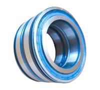 Peso pesante pieno di cuscinetti rulli NNCF SL5004 5010(NNCF/SL5020)