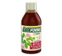 Drenante Betulla E Zenzero Pesoforma Nature 500ml
