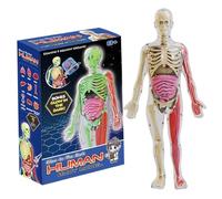 Pesoncarl Modello del Corpo Umano per Bambini, Bagliore nel Modello di Anatomia Umana realistica oscura, Corpo Staccabile Fai -da -Te, Anatomia educativa per Regali per Bambini, Giocattoli