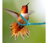 Pet Bird Harness Budgie for Leash Training Accessorio Per Uccelli