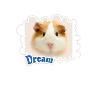 Pet Brown Capelli da Criceto Adesivi Citazione Sogno Decalcomanie in Vinile