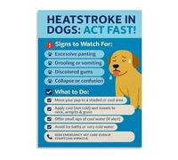 Pet Care Dog Temperature Chart Poster Heat Stroke Prevention Wall Art Canvas Home Decor(Framed,16x24inch(40x60cm))