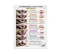 Pet Care Education Poster Feline Age Determination By Teeth Chart Veterinary Wall Art Canvas For Clinic Office(Framed,08x12inch(20x30cm))