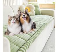 Pet Couch Cover,Dogs Washable Couch Protector Mat,Non-Slip Washable Couch Covers for Pets,Ultra-Soft Fluffy,Machine Washable Furniture Cover for Dogs & Cats,for Room or Bedroom (Light Green,24*24 in)