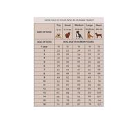 Pet Dog Age Human Years Chart Poster Reference