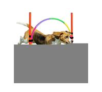 Pet Dog Hurdle Bar Puppy Agility Equipment Interactive Toys Exercise Training