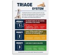 Pet First Aid and Emergency Triage Chart Educational Reference Guide for Veterinary Clinic Animal Training Facility Home(Unframed,08x12inch(20x30cm))