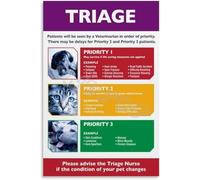 Pet First Aid and Emergency Triage Chart Veterinary Reference Guide Educational Poster for Clinic Office Home Decor(Framed,08x12inch(20x30cm))