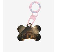 Pet Go Medagliette identificative personalizzate con la piramide del mondo perduto per cani e medagliette per gatti, a forma di osso, in acrilico, rosa chiaro, medie
