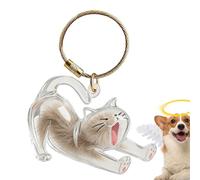 Pet Hair Memorial Keepsake - Transparent Cat Storage | Clear Keychain