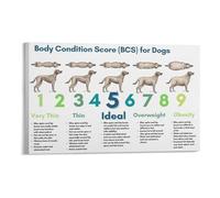 Pet Health and Nutrition Chart Dog BCS Visual Guide Canvas Poster for Responsible Pet Owners and Animal Care Professionals Wall Art(Unframed,08X12inch(20X30cm))