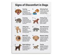 Pet Pain Recognition Poster Dog Discomfort Early Warning Chart