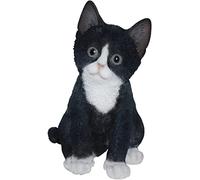 Pet Pals - gattino bianco e nero di Vivid Arts