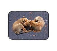 Pet Pee Pads - Washable pee pads, pet washable changing pad, forte assorbimento Pets Underpad, Pees Padd for Dogs, Puppy Potty Training Pad for Small Medium Large Dog Whelping Bed Floors Crate