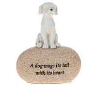 Pet Sentimento Beige Pebble Ornamento Parole Un Cane Wags Its Coda Con Its Cuore