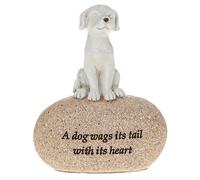 Pet Sentimento Beige Pebble Ornamento Parole Un Cane Wags Its Coda Con Its Cuore