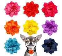Pet Show Dog charms fiore collare accessori per gatto cucciolo collari cani papillon Grooming, confezione da 8, 3.4", 8 colors