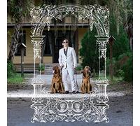 Pet Symmetry - Pets Hounds
