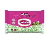 Pet Village Salviette Clorexidina Inodorina 40 Pezzi