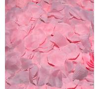 Petali di Rosa Decorativi Diablo Picante - 100 Petali Rosa