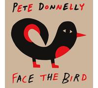 Pete Donnelly - Face The Bird